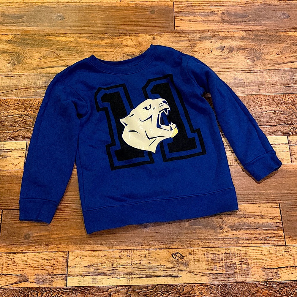 Boys garanimals 4t sweatshirt lot🦎